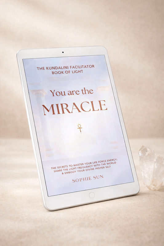 Ebook Edition "You Are The Miracle: The Life Force Facilitator Book of Light"