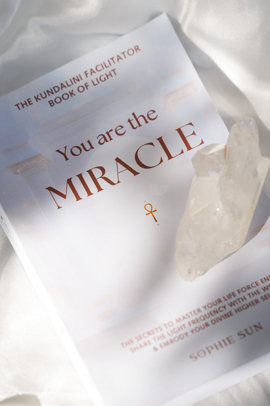 Premium Hardcover Edition "You Are The Miracle: The Life Force Facilitator Book of Light"
