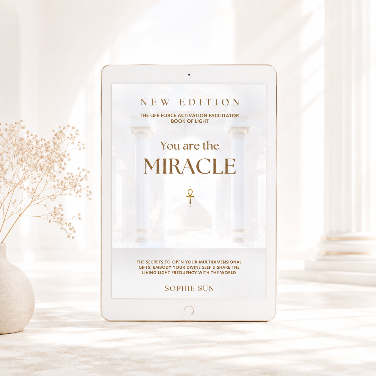 Ebook Edition "You Are The Miracle: The Life Force Facilitator Book of Light"
