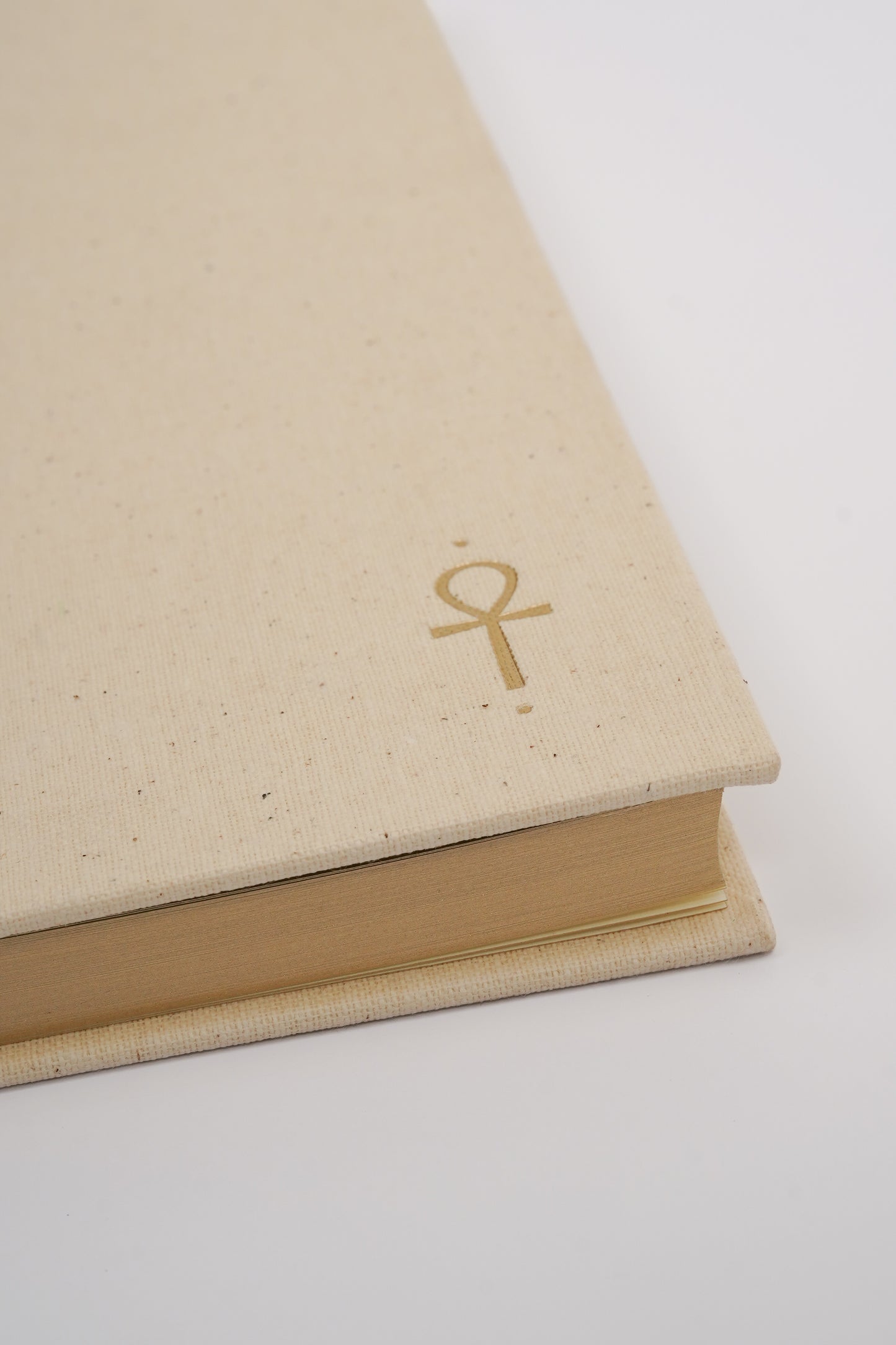 Temple of Light Journal